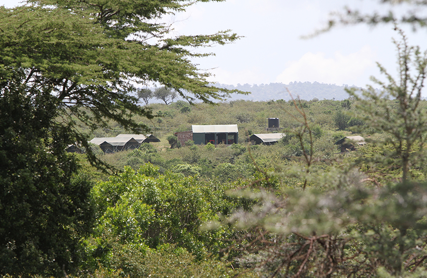 Kenia_Fisi_Camp